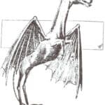 Jersey Devil