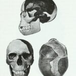Piltdown Man