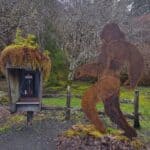 Bigfoot/Sasquatch on the Olympic Peninsula: The Nest Discovery That Changed Everything