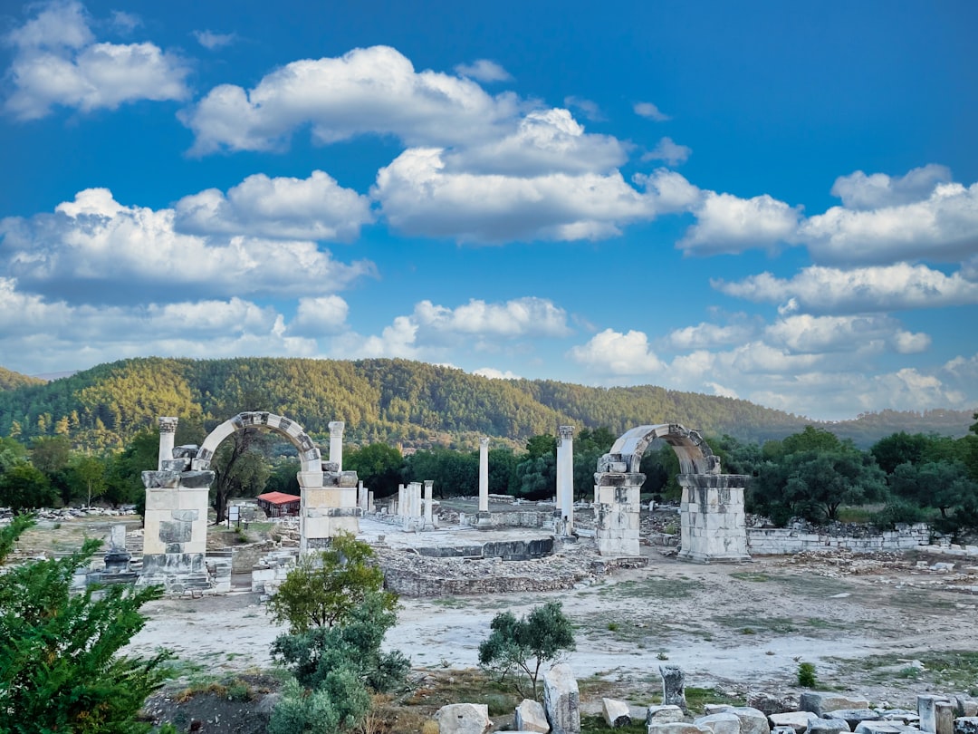 Image related to Morgellons