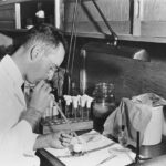 Image related to The Voracious Appetite of Tarrare: A 18th-Century French Enigma