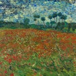 The Poppy Fields