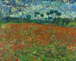 The Poppy Fields