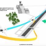Engine Failure on Takeoff: The Mysterious Cases That Defy Explanation