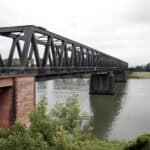Bridge Worm