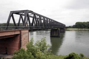Bridge Worm