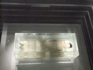 Xin Zhui (lady Dai) Mummy Preservation Mystery