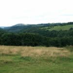 Glozel Artifacts